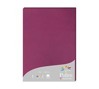 Clairefontaine Papier A4 Pollen 14206C – 160 g/m² Framboise – Étui 50 feuilles