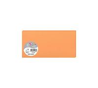 Clairefontaine 1536C - Paquet de 25 Cartes Simples - Format DL 10,6x21,3cm - 210g/m² - Coloris Clémentine - Cartons d'Invitation Evènements et Correspondance - Gamme Pollen - Papier Premium Lisse