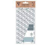 Clairefontaine 20038C - Set De 2 Enveloppes Cadeaux Motifs Noël Polaire - Format DL 11x22cm - 160g - Imprimées Gommées - Thème Noël - Invitation Evènements et Correspondance - Gamme Pollen