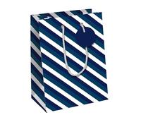CLAIREFONTAINE 202113-3Cpack-6 sacs Moyen 21,5x10,2x25,3cm-210g-Rayures