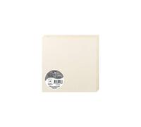 Clairefontaine Cartes doubles d'invitation 2186C – 25 cartes 16×16 cm 210 g/m² Ivoire irisé Gamme Pollen