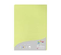 Clairefontaine Papier Pollen 224205C A4 210 g/m² 25 feuilles Vert Bourgeon