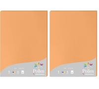 Clairefontaine 24208C - Étui de 25 Feuilles - Format A4 (21x29,7cm) - 210g/m² - Coloris Clémentine - Papier d'Invitation Evènements et Correspondance - Gamme Pollen - Papier Premium Lisse (Lot de 2)