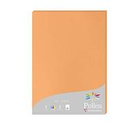 Clairefontaine 24208C - Étui de 25 Feuilles - Format A4 (21x29,7cm) - 210g/m² - Coloris Clémentine - Papier d'Invitation Evènements et Correspondance - Gamme Pollen - Papier Premium Lisse
