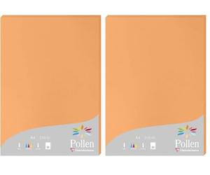 Clairefontaine 24208C - Étui de 25 Feuilles - Format A4 (21x29,7cm) - 210g/m² - Coloris Clémentine - Papier d'Invitation Evènements et Correspondance - Gamme Pollen - Papier Premium Lisse (Lot de 2)