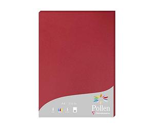 Clairefontaine 24212C - Étui de 25 Feuilles - Format A4 (21x29,7cm) - 210g/m² - Coloris Rouge Groseille - Papier d'Invitation Evènements et Correspondance - Gamme Pollen - Papier Premium Lisse