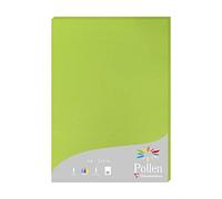 Clairefontaine Etui De 25 Feuilles 210x297 Vert Menthe 210g
