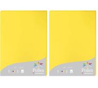 Clairefontaine 24217C - Étui de 25 Feuilles - Format A4 (21x29,7cm) - 210g/m² - Coloris Jaune Soleil - Papier d'Invitation Evènements et Correspondance - Gamme Pollen - Papier Premium Lisse (Lot de 2)