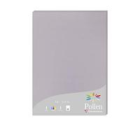 Clairefontaine 24232C - Étui de 25 Feuilles - Format A4 (21x29,7cm) - 210g/m² - Coloris Gris Koala - Papier d'Invitation Evènements et Correspondance - Gamme Pollen - Papier Premium Lisse