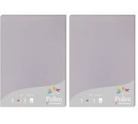 Clairefontaine 24232C - Étui de 25 Feuilles - Format A4 (21x29,7cm) - 210g/m² - Coloris Gris Koala - Papier d'Invitation Evènements et Correspondance - Gamme Pollen - Papier Premium Lisse (Lot de 2)