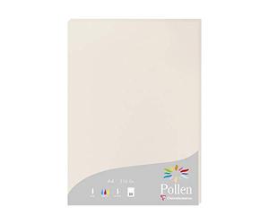 Clairefontaine 24268C - Étui de 25 Feuilles - Format A4 (21x29,7cm) - 210g/m² - Coloris Gris Perle - Papier d'Invitation Evènements et Correspondance - Gamme Pollen - Papier Premium Lisse