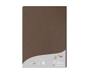 Clairefontaine 24292C - Étui de 25 Feuilles - Format A4 (21x29,7cm) - 210g/m² - Coloris Marron Taupé - Papier d'Invitation Evènements et Correspondance - Gamme Pollen - Papier Premium Lisse