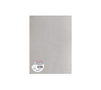 Clairefontaine 26119C - Sachet de 5 Feuilles - Format A4 (21x29,7cm) - 120g/m² - Coloris Argent - Invitation Evènements et Correspondance - Gamme Pollen - Papier Premium Lisse
