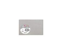 Clairefontaine 26489C - Sachet de 5 Cartes Simples - Format 8,2x12,8cm - 210g/m² - Coloris Argent - Invitation Evènements et Correspondance - Gamme Pollen - Papier Premium Lisse
