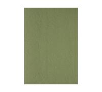Clairefontaine 2775C Lot de 100 couvertures en carton texturé en cuir Vert foncé Format A4 240 g/m²
