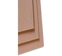 Clairefontaine 296011C Paquet Papier Pastelmat - 5 Feuilles Carte Spéciale pour Pastels Secs - 70x100 cm 360g - Brun
