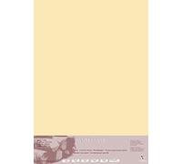 Clairefontaine 296023C Paquet Papier Pastelmat - 5 Feuilles Carte Spéciale pour Pastels Secs - 70x100 cm 360g - Maïs