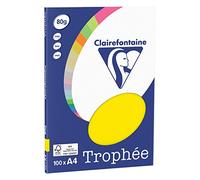 CLAIREFONTAINE 31023 Papier Trophée Personal Paper Pack Multifonctions A4 80g/m2 Lot de 100 Rose