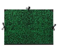 Clairefontaine Carton à dessin Annonay 32800C 3 cordons 52 x 72 cm Vert