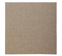 Clairefontaine 34148C - Un carton à peindre avec enduction transparente 30x30 cm, épaisseur 3 mm, toilé naturel