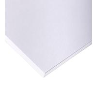 Clairefontaine 37309C Paquet Papier Dessin Croquis - 10 Feuilles Papier Dessin Blanc au Grain Très Léger - 75x105 cm 180g - Idéal pour le Dessin et Croquis au Crayon, Feutre ou Fusain