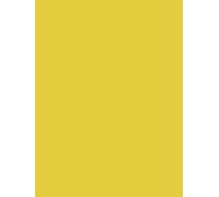 Clairefontaine Papier affiche peint 384516C 25 feuilles 60x80 cm 90 g/m² Jaune Or