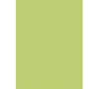 Clairefontaine 384519C Pack 25 Affiches Peintes Vert pomme 60x80 cm 90g