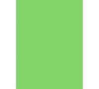 Clairefontaine 384522C - Paquet de 25 Feuilles de Papier Affiche Peinte 90g/m² - Format 60x80cm - Découpage, Ecriture, Collage - Loisirs Créatifs Adultes et Enfants - Coloris Menthe