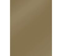Clairefontaine Papier affiche peint 384575C – 10 feuilles 90 g/m² 60x80 cm Or