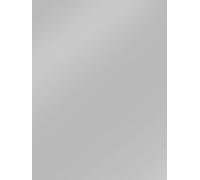 Clairefontaine 384576C - Paquet de 10 Feuilles de Papier Affiche Peinte 90g/m² - Format 60x80cm - Découpage, Ecriture, Collage - Loisirs Créatifs Adultes et Enfants - Coloris Argent