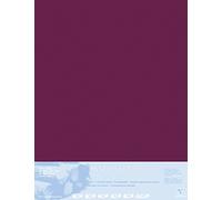Clairefontaine 396016C Contrecollé Papier Pastelmat - 5 Feuilles Contrecollées Carte Spéciale pour Pastels Secs - 70x100 cm 360g 1,8 mm - Lie de Vin