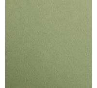 Clairefontaine 397170C Rame Papier Maya - 250 Feuilles Papier Dessin Lisse Kaki - 50x70 cm 120g - Idéal pour le Dessin et les Activités Créatives