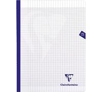 Clairefontaine 399341C Un Cahier Brochure Cousu Fil Mimesys Incolore - 24x32 cm - 192 Pages Grands Carreaux - Papier Blanc 90 g - Couverture Polypro