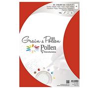 Clairefontaine 40299C - Sachet de 5 Feuilles - Format A4 (21x29,7cm) - 120g/m² - Coloris Coquelicot - Invitation Evènements et Correspondance - Gamme Grain de Pollen - Papier Premium à Grain