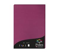 Clairefontaine 4206C - Étui de 50 Feuilles - Format A4 (21x29,7cm) - 120g/m² - Coloris Framboise - Papier d'Invitation Evènements et Correspondance - Gamme Pollen - Papier Premium Lisse