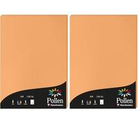 Clairefontaine 4208C - Étui de 50 Feuilles - Format A4 (21x29,7cm) - 120g/m² - Coloris Clémentine - Papier d'Invitation Evènements et Correspondance - Gamme Pollen - Papier Premium Lisse (Lot de 2)
