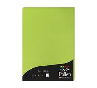 Clairefontaine 4215C - Étui de 50 Feuilles - Format A4 (21x29,7cm) - 120g/m² - Coloris Vert Menthe - Papier d'Invitation Evènements et Correspondance - Gamme Pollen - Papier Premium Lisse