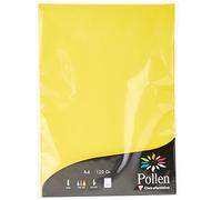 Clairefontaine 4217C - Étui de 50 Feuilles - Format A4 (21x29,7cm) - 120g/m² - Coloris Jaune Soleil - Papier d'Invitation Evènements et Correspondance - Gamme Pollen - Papier Premium Lisse