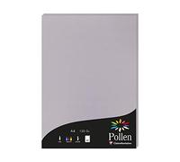 Clairefontaine Étui 50 feuilles Pollen Papier A4 210×297 mm 120 g/m² Gris Koala