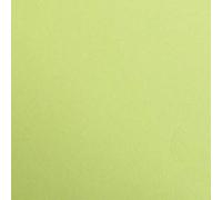 Clairefontaine 48152C Paquet Papier Maya - 25 Feuilles Papier Dessin Lisse Vert Mousse - A2 42x59,4 cm 270g - Idéal pour le Dessin et les Activités Créatives