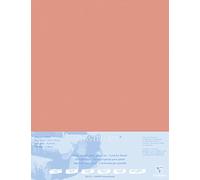 Clairefontaine 496012C Contrecollé Papier Pastelmat - 5 Feuilles Contrecollées Carte Spéciale pour Pastels Secs - 50x70 cm 360g 1,8 mm - Sienne