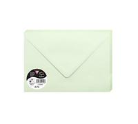 Clairefontaine 5472C Paquet de 20 Grandes Enveloppes 16,2x22,9cm Vertes - 120g/m² - Format C5 - Fermeture gommée - Invitation Evènements et Correspondance - Gamme Pollen - Papier Lisse