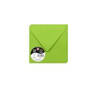 Clairefontaine Enveloppes gommées 5548C Pollen – Paquet de 20, 14×14 cm, 120 g/m², Vert menthe