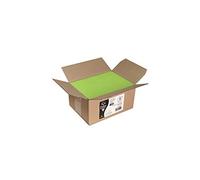 Clairefontaine 55545C - Carton de 200 Enveloppes Auto-Adhésives - Format DL (11x22cm) - 120g/m² - Coloris Vert Menthe - Invitation Evènements et Correspondance - Gamme Pollen - Papier Premium Lisse