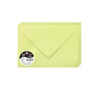 Clairefontaine Enveloppes C5 16,2x22,9 cm Vert bourgeon 120 g/m² Paquet de 20 Fermeture gommée
