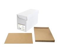 Clairefontaine 67502C - Boite de 250 pochettes Forever Kraft Brun 100% recyclé C4-229x324 mm - Auto-Adhésives - 90g/m²