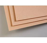 Clairefontaine 696012C Paquet 5 Feuilles Pastelmat A3 360g sienne