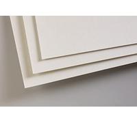 Clairefontaine 696020C Paquet 5 Feuilles Pastelmat A3 360g gris clair