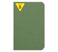Clairefontaine 734103Cpack Collection Nomaddict (ex Age Bag) Un Lot de 5 Cahiers Agrafés Verts - 9x14 cm - 96 Pages Unies Blanches - Papier 90 g - Couvertures Carte Lustrée Grain Cuir