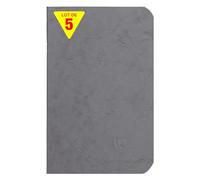Clairefontaine 734165Cpack Collection Age Bag Un Lot de 5 Cahiers Agrafés Gris - 9x14 cm - 96 Pages Lignées - Papier Blanc 90 g - Couvertures Carte Lustrée Grain Cuir